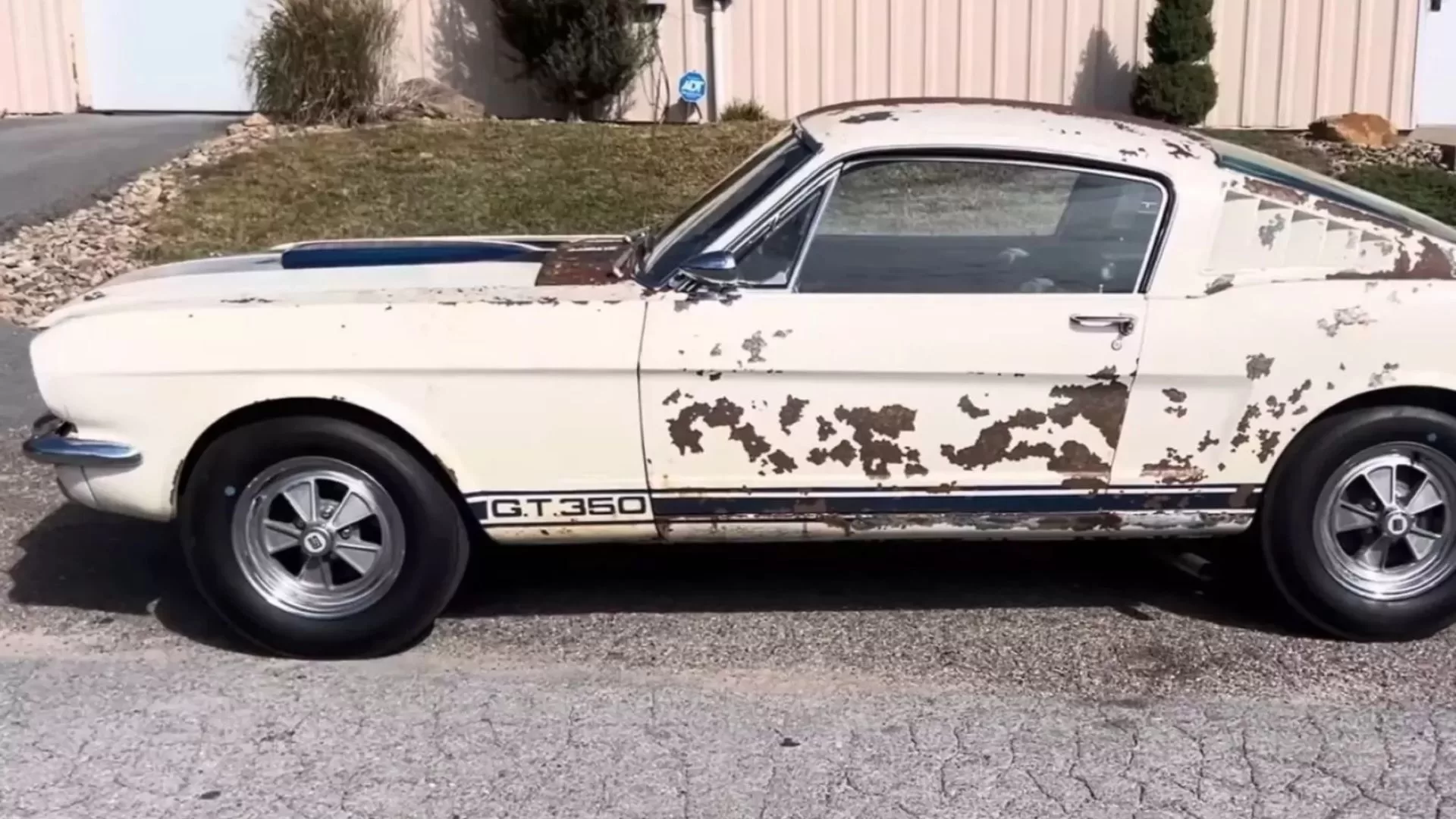 Shelby Mustang GT350 1965
