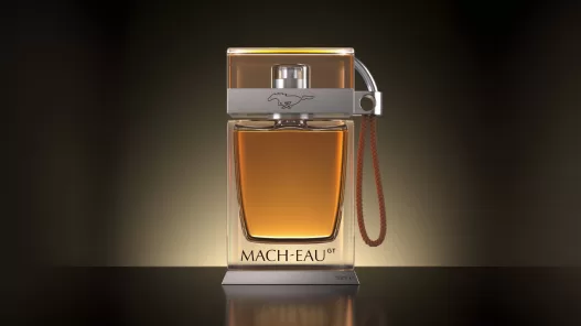 Ford Mach-Eau