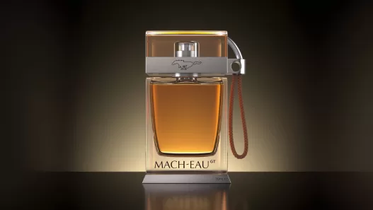 Ford Mach-Eau