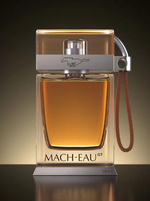 Ford Mach-Eau